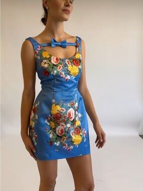 NWT Damaris Bailey Marissa dress